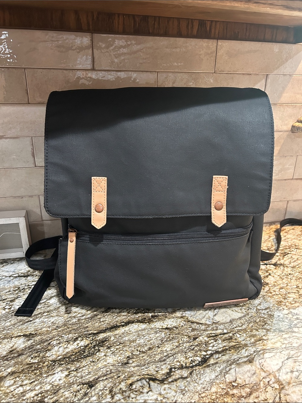 Petunia Pickle Bottom backpack, or diaper bag